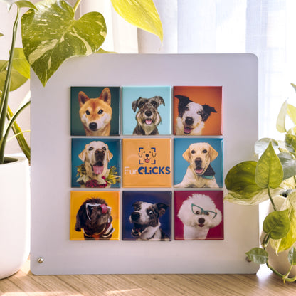 FurClicks